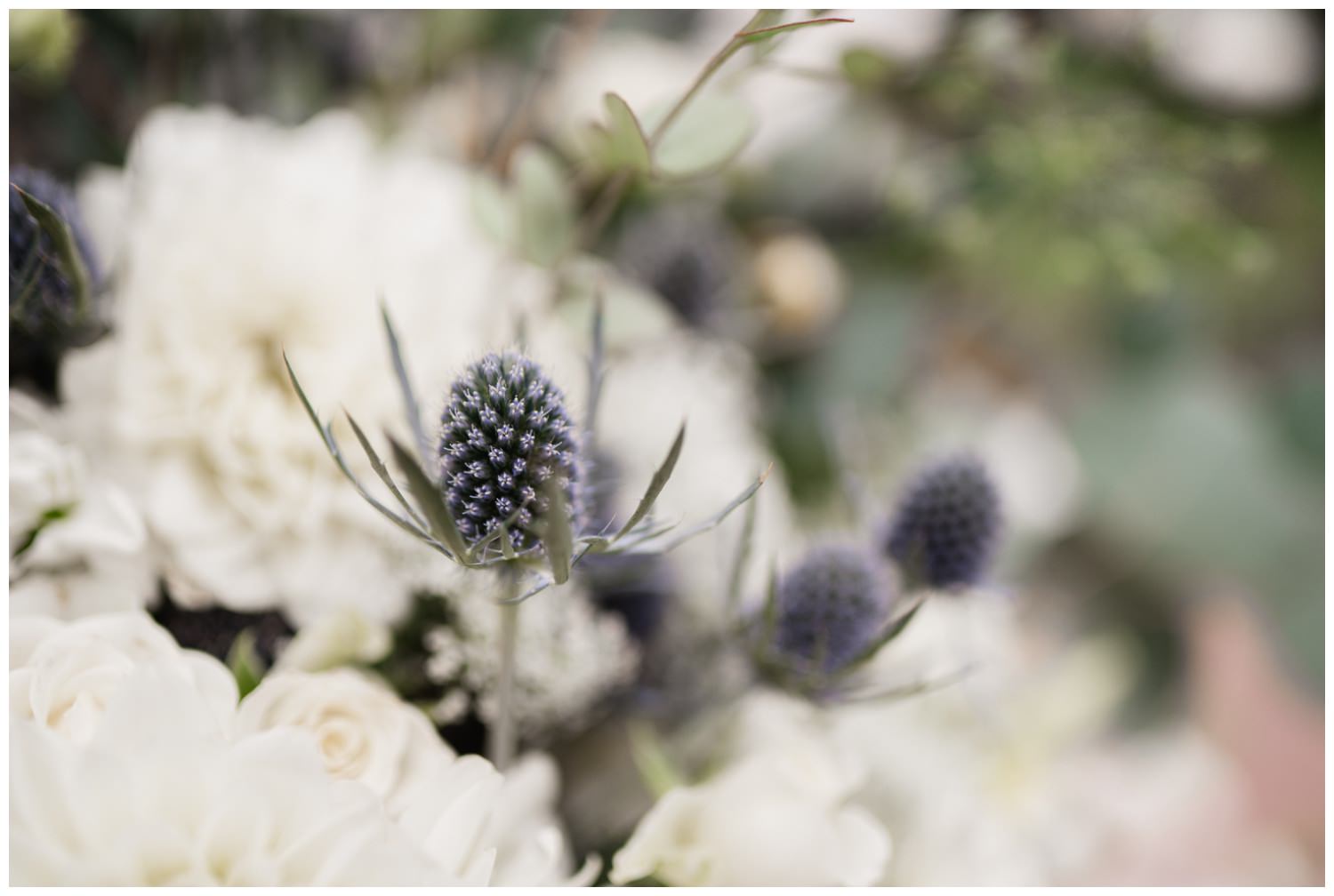 San Francisco Wedding at the Conservatory of Flowers