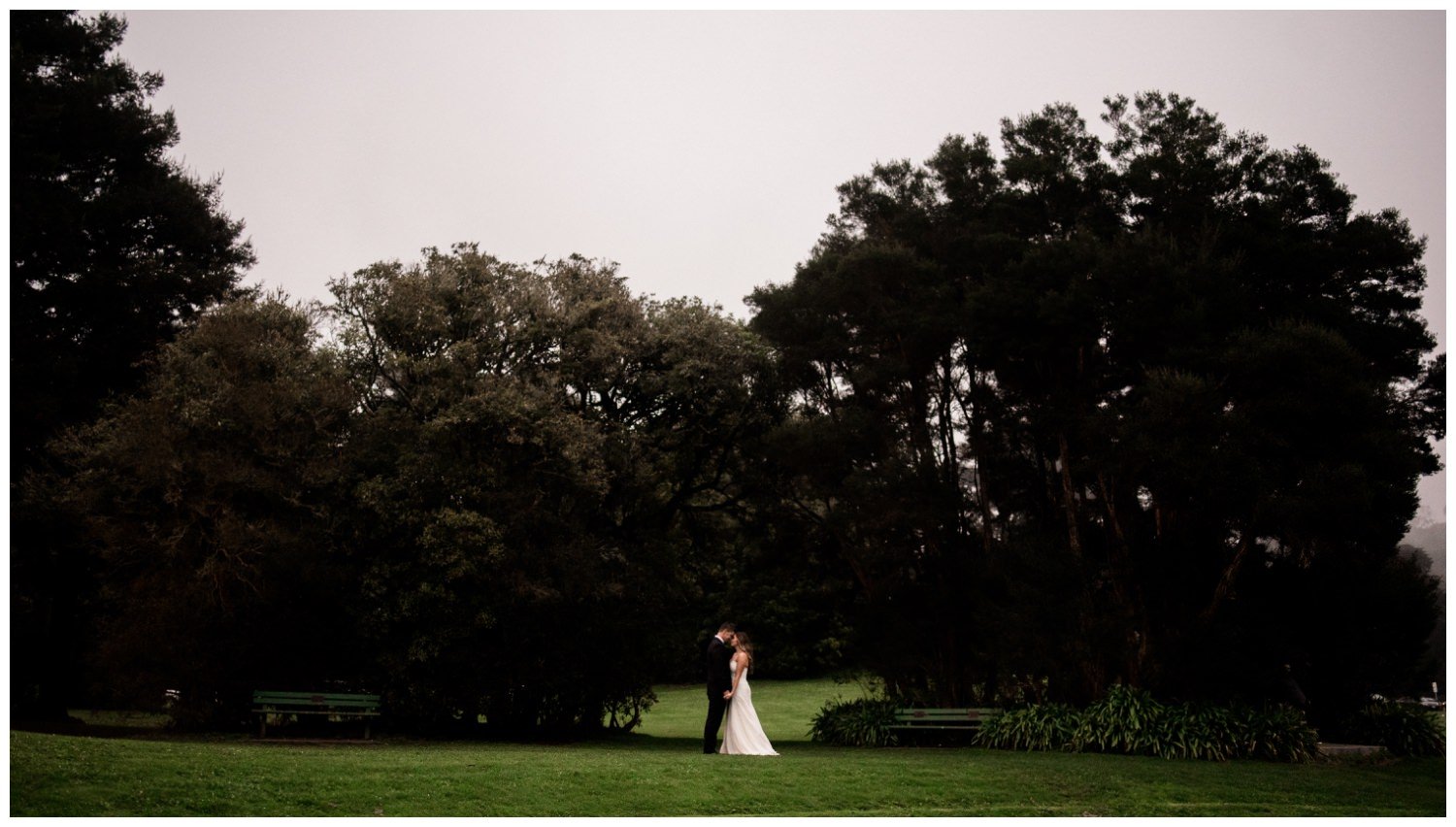 San Francisco Wedding at the Conservatory of Flowers